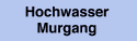 Hochwasser / Murgang